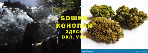 PSILOCYBIN Белая Холуница