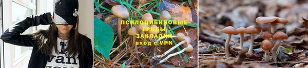 бошки Нея