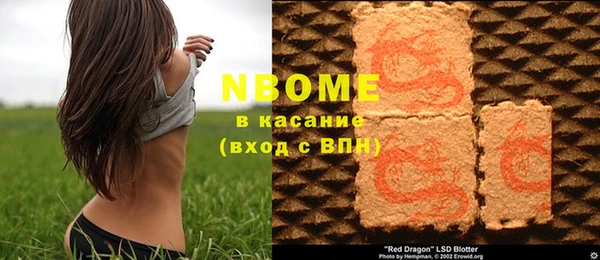 PSILOCYBIN Белая Холуница