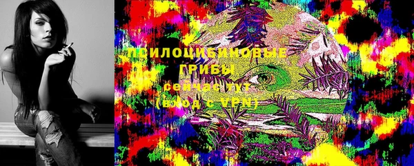 СК Новокубанск