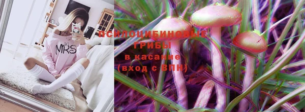 а пвп мука Бежецк