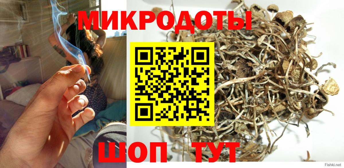 Галлюциногенные грибы Psilocybine cubensis Мыски