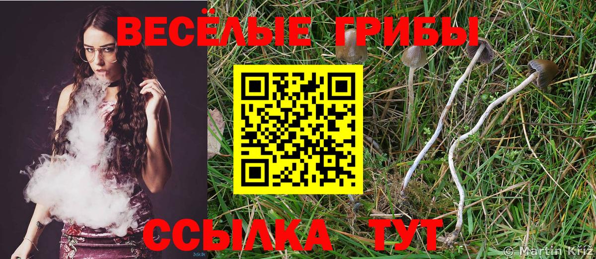 Галлюциногенные грибы мухоморы  Галлюциногенные грибы MAGIC MUSHROOMS  Мыски  как найти закладки  Вход с VPN 
