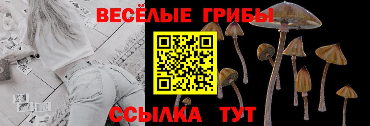 Псилоцибиновые грибы мухоморы  Мыски 