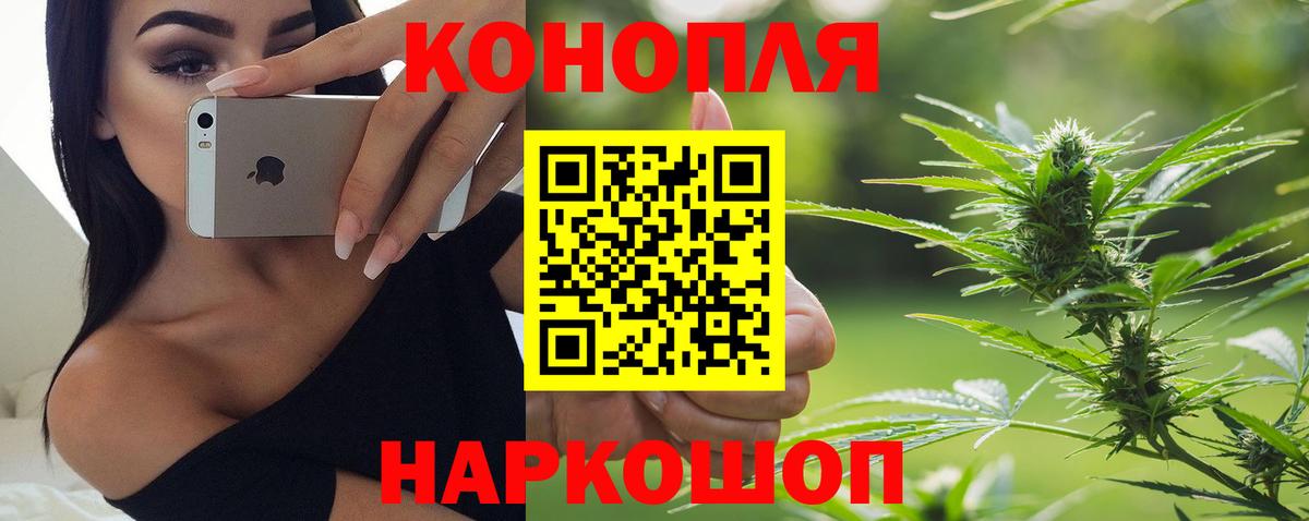 Шишки марихуана MAZAR Мыски